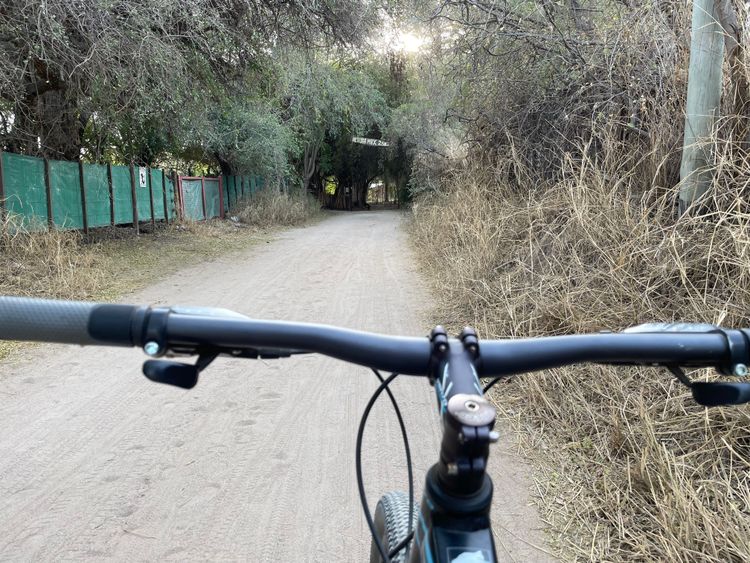 Paseo de los Duendes