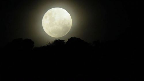 Vida nocturna en San Marcos